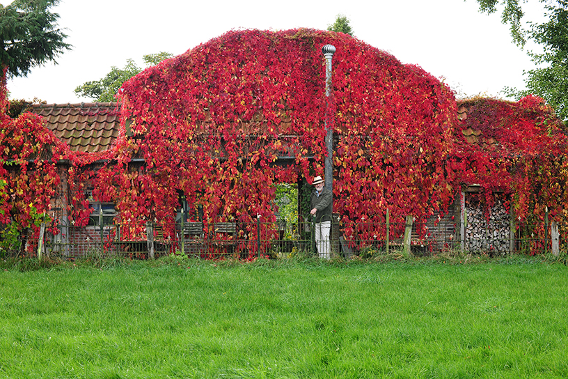 De tuin Pari Daeza van Dick en Jeanette Vonhof